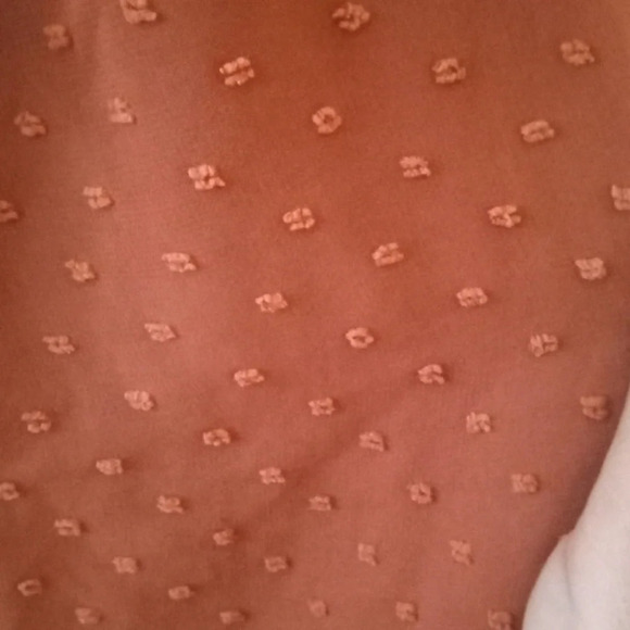 Altard State Long Sleeve Hollow Lace Baby Doll Swiss Dot Burnt Orange Size Small - Picture 5 of 7